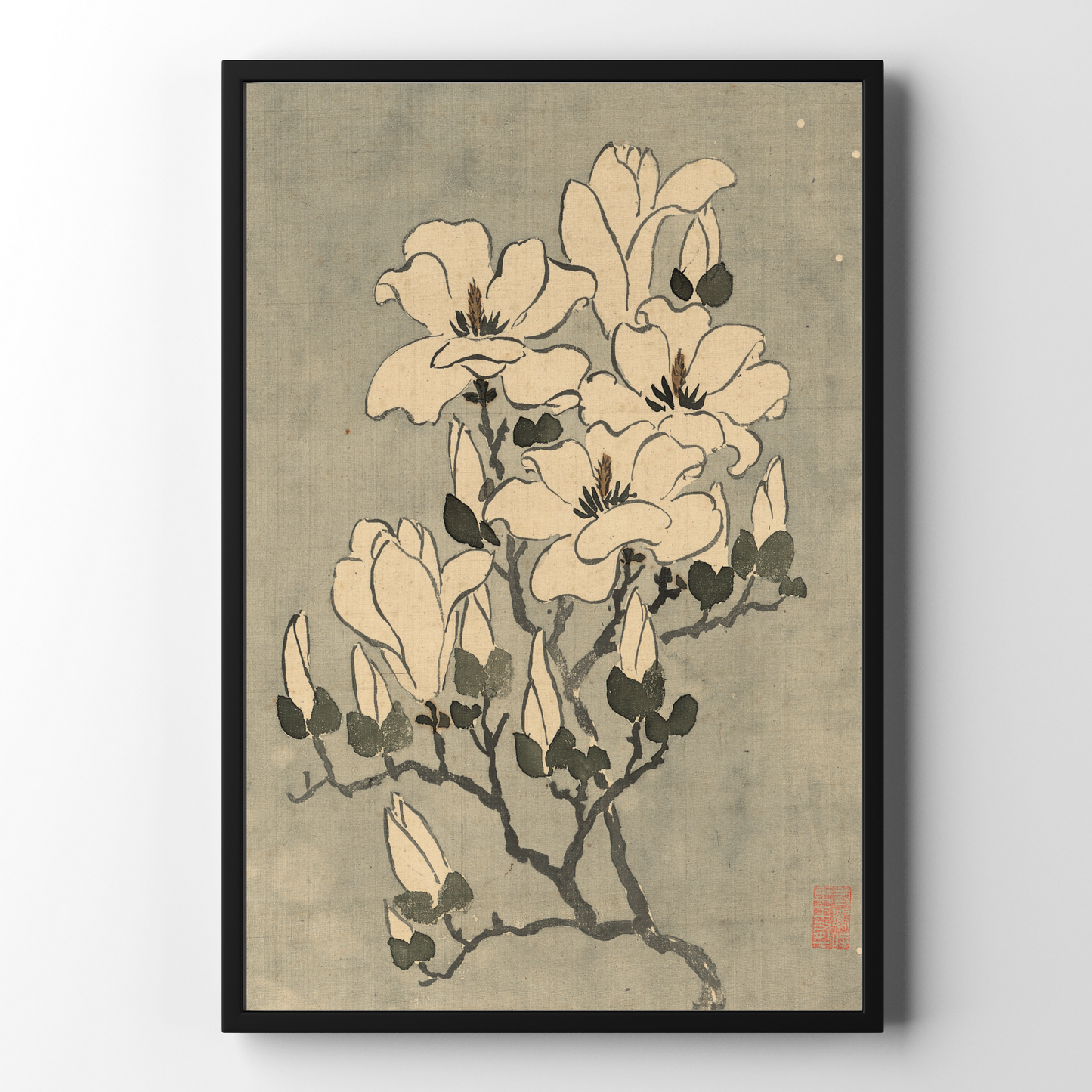 Yang Jin blomma